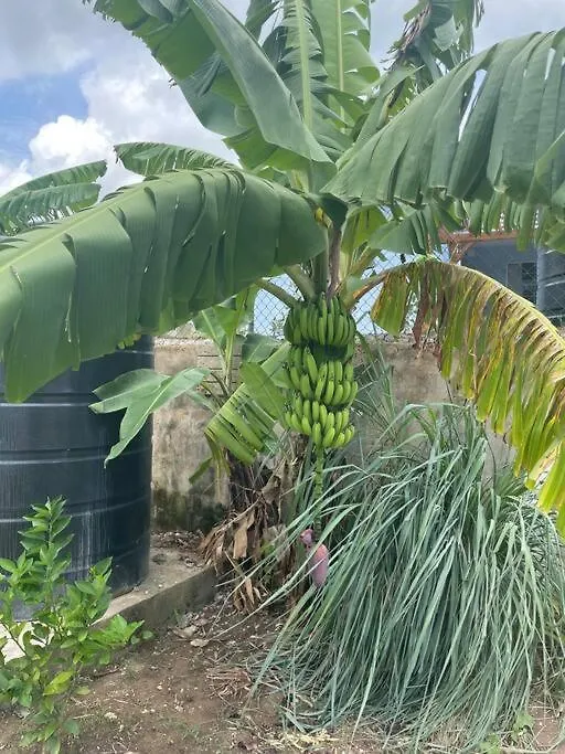 St Mary Peace Garden Villa Jamaica