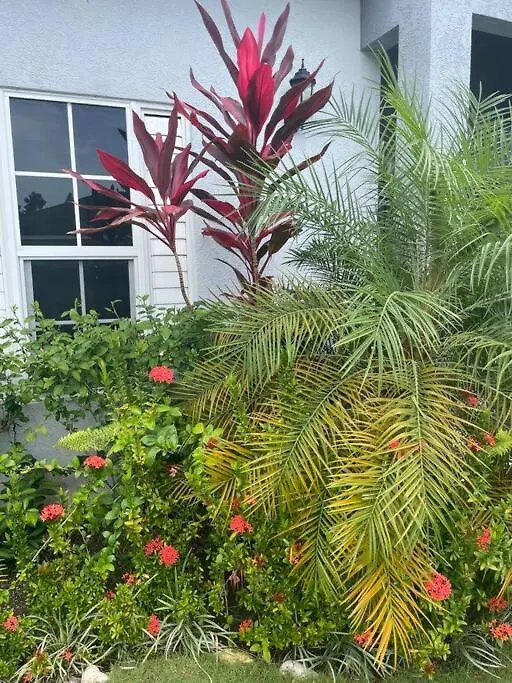 St Mary Peace Garden Villa Jamaica